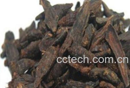 香附的功效与作用及食用方法-0