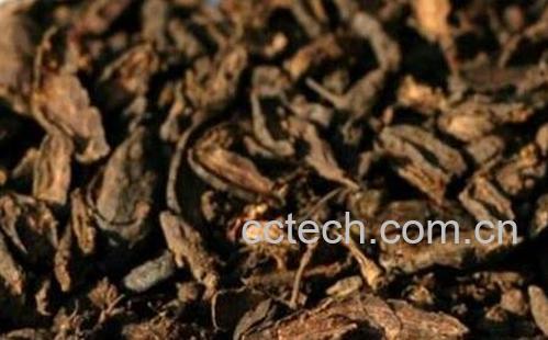 香附的功效与作用及食用方法-1