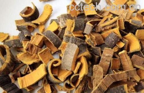 黄柏的功效与作用及常用配方-1