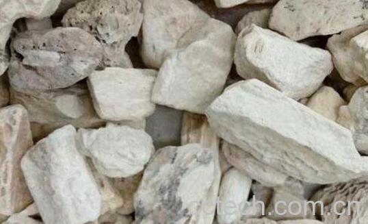 龙骨的功效与作用及药用价值-0