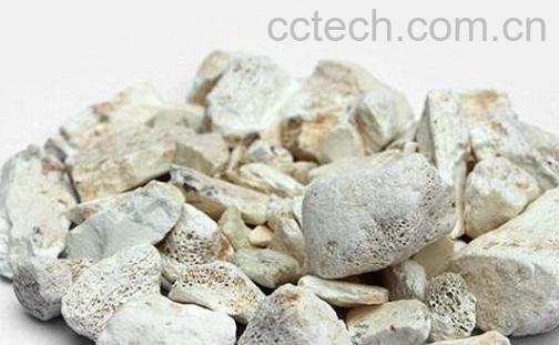 龙骨的功效与作用及药用价值-1