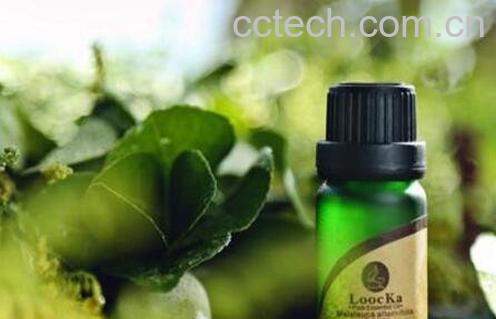 茶树精油的功效与作用及药用价值-1