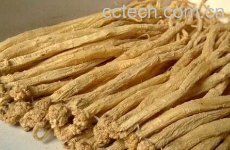 党参有哪些功效与作用-0