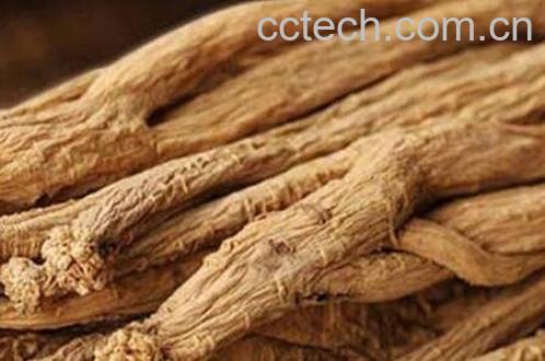 党参有哪些功效与作用-1