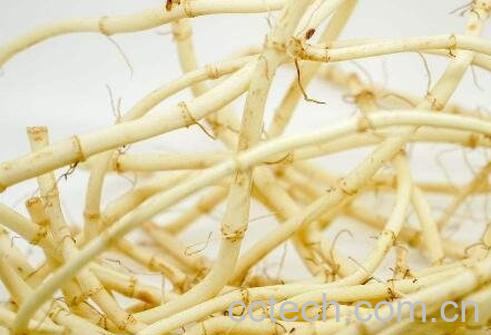 鱼腥草有哪些功效与作用-0