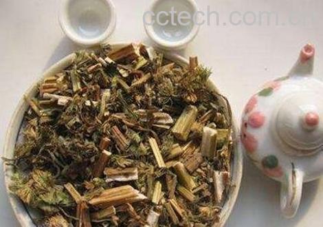 益母草有哪些功效与作用-1