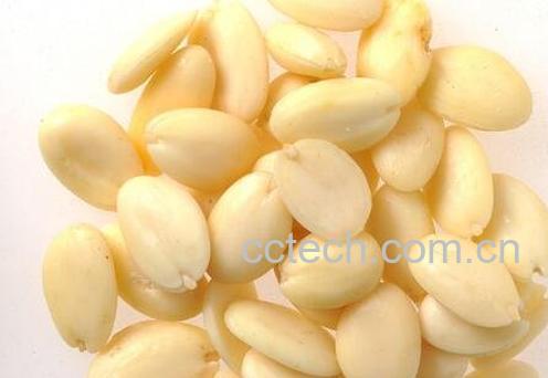 桃仁的功效与作用及药用价值-0