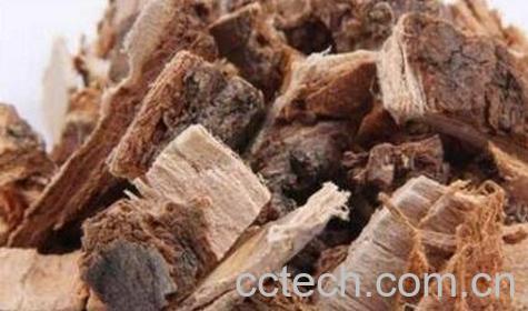 榆树皮的功效与作用及药用价值-0