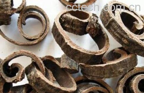 厚朴的功效与作用与禁忌-0