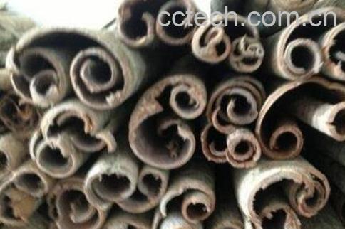 厚朴的功效与作用与禁忌-1