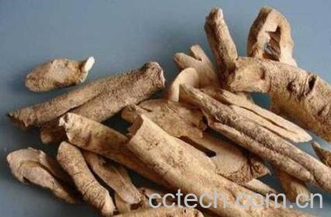 牡丹皮的功效与作用及药用价值-0