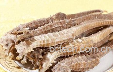 海马的功效与作用及食用方法-0