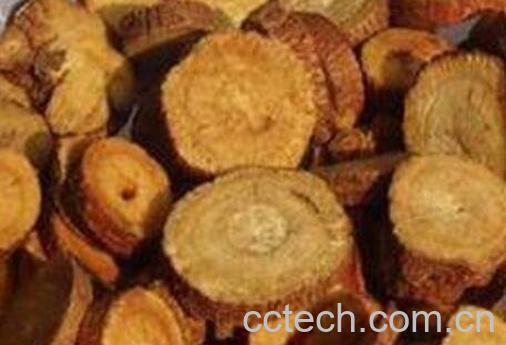 中药蜜甘草的功效与作用-0