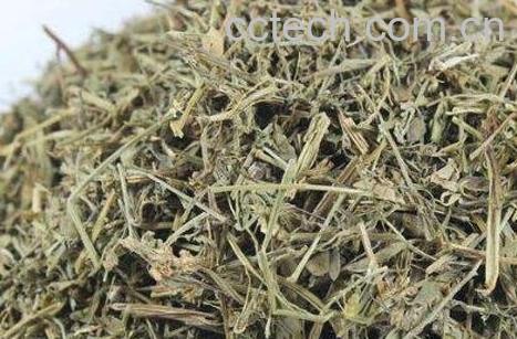 钻筋透骨草的功效与作用-0