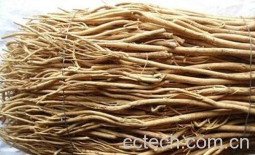 紫皮甘草是什么东西 紫甘草作用及食用方法-0