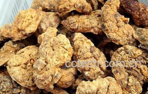 紫河车的功效与作用及药用价值-0