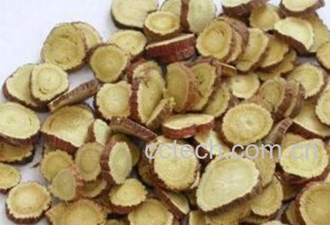 中药甜甘草的作用与功效-1