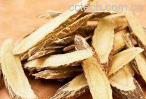 中药甜甘草的作用与功效-0