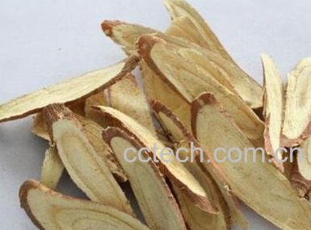 中药中甘草的功效和作用及药用价值-1