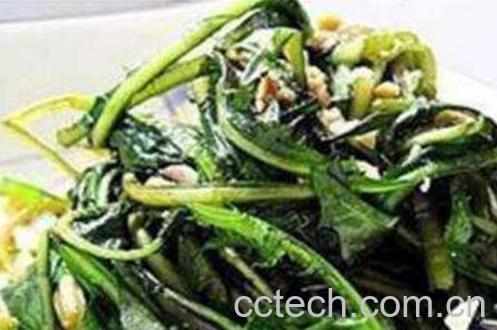 生吃蒲公英的功效 怎么生吃蒲公英-1