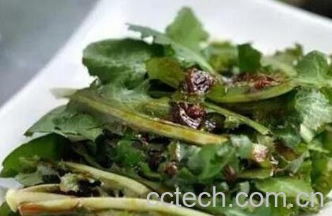 生吃蒲公英的功效 怎么生吃蒲公英-0