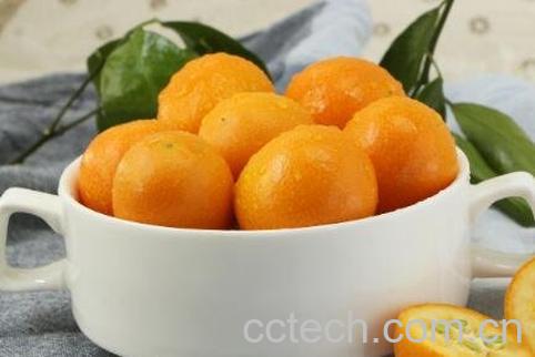 中药金橙子的作用与功效-1