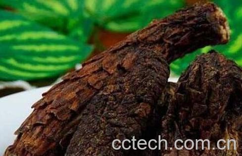 肉苁蓉怎么吃 肉苁蓉的吃法技巧-0