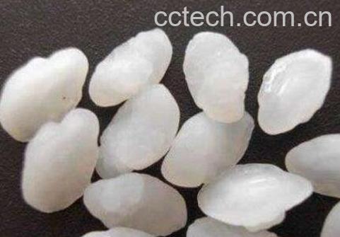 中药鱼枕骨的功效和作用及药用价值-1