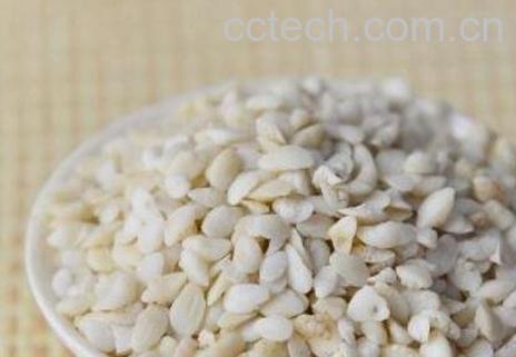 中药鱼枕骨的功效和作用及药用价值-0