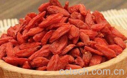 蒸枸杞的作用与功效-0