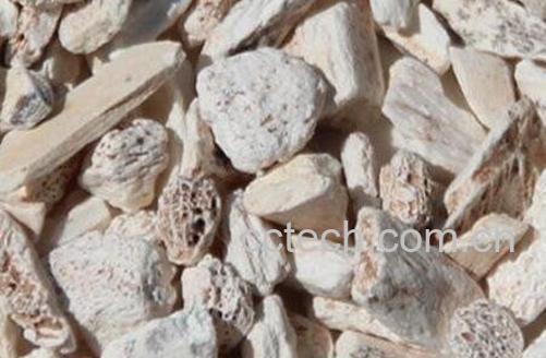 龙骨的功效与作用 龙骨的药用价值-0