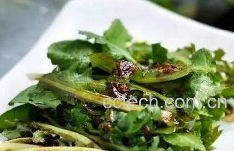 中亚蒲公英图片 中亚蒲公英的吃法-1