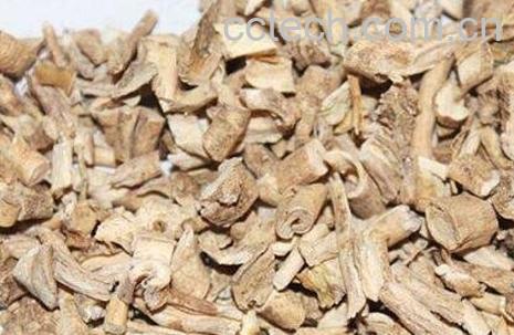 八骨牛泡酒有什么功效-1