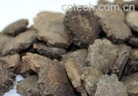 木鳖子的功效与作用及药用价值-0