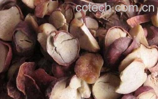 梭罗果的药用价值-0