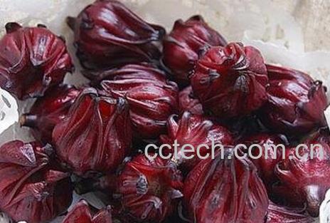 红桃k怎么吃效果最好 红桃k果吃新鲜的怎么吃-0