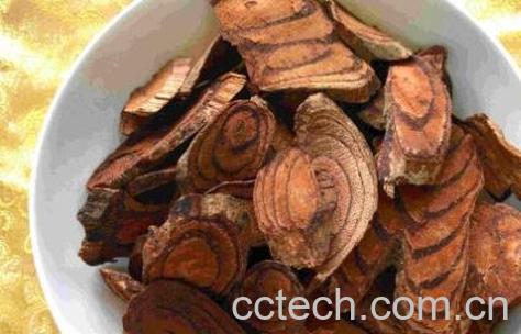 鸡血藤的作用及食用方法-0