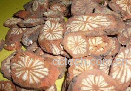 五花血藤的功效与作用-1