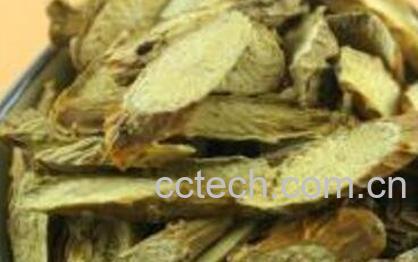 红宽筋藤的功效与作用及药用价值-1