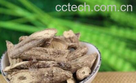 乌骨藤的功效与作用及药用价值-0