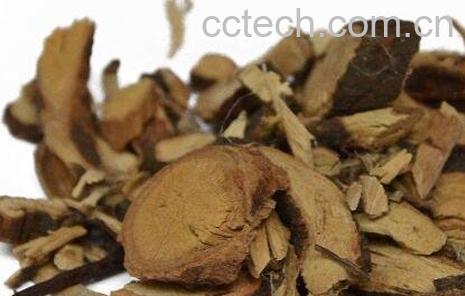 黑骨藤的功效与作用及副作用-0