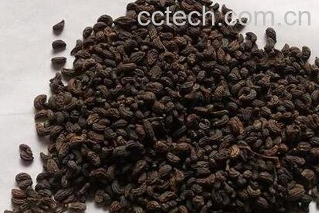 女贞子的功效与作用及禁忌-1