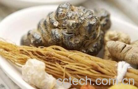 梅根的功效与作用及药用价值-1