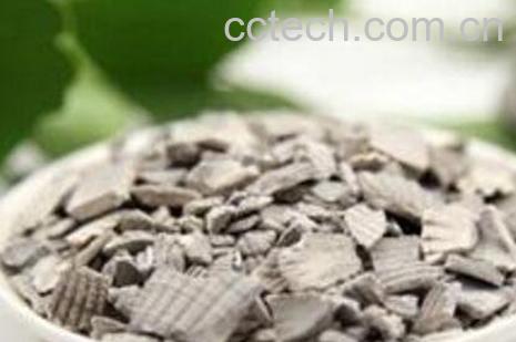 煅瓦楞子的功效与作用及食用方法-0