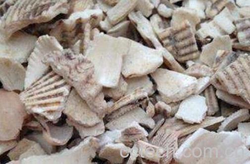 煅瓦楞子的功效与作用及食用方法-1