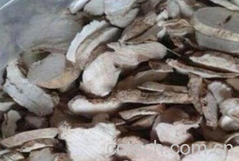 中药隔山消的副作用与功效-1