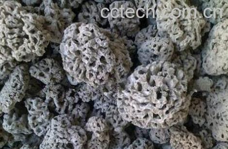 海浮石的功效与作用及禁忌-0