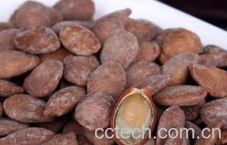 瓜蒌子的功效与作用及禁忌-0