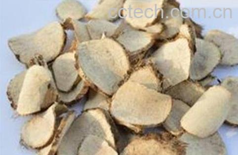 三陵的功效与作用及禁忌-1