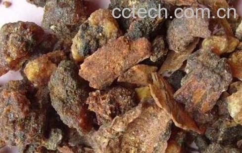 没药的功效与作用及禁忌-1